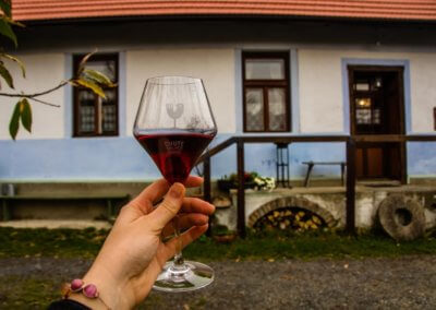 Taste of the Small Carpathians, Modra Tours, Martina Klucikova