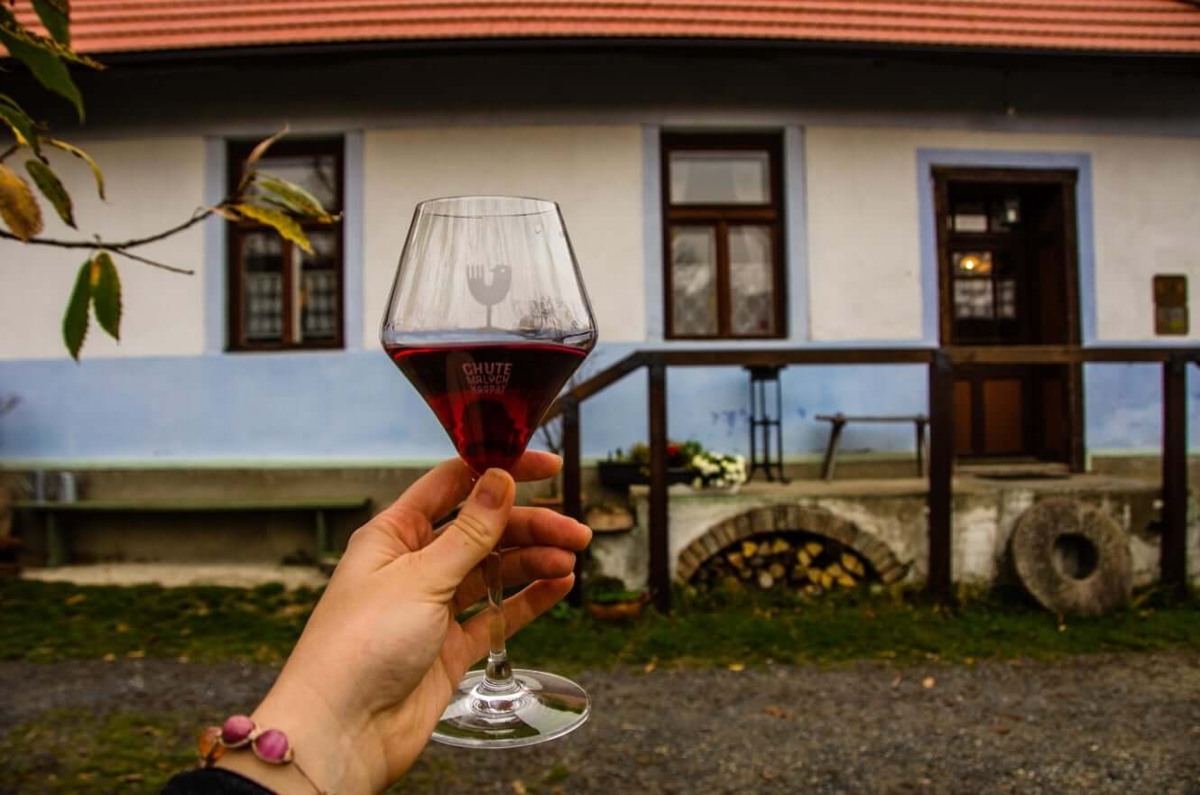 Taste of the Small Carpathians, Modra Tours, Martina Klucikova