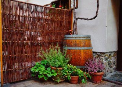 Old viticulture house, Modra Tours