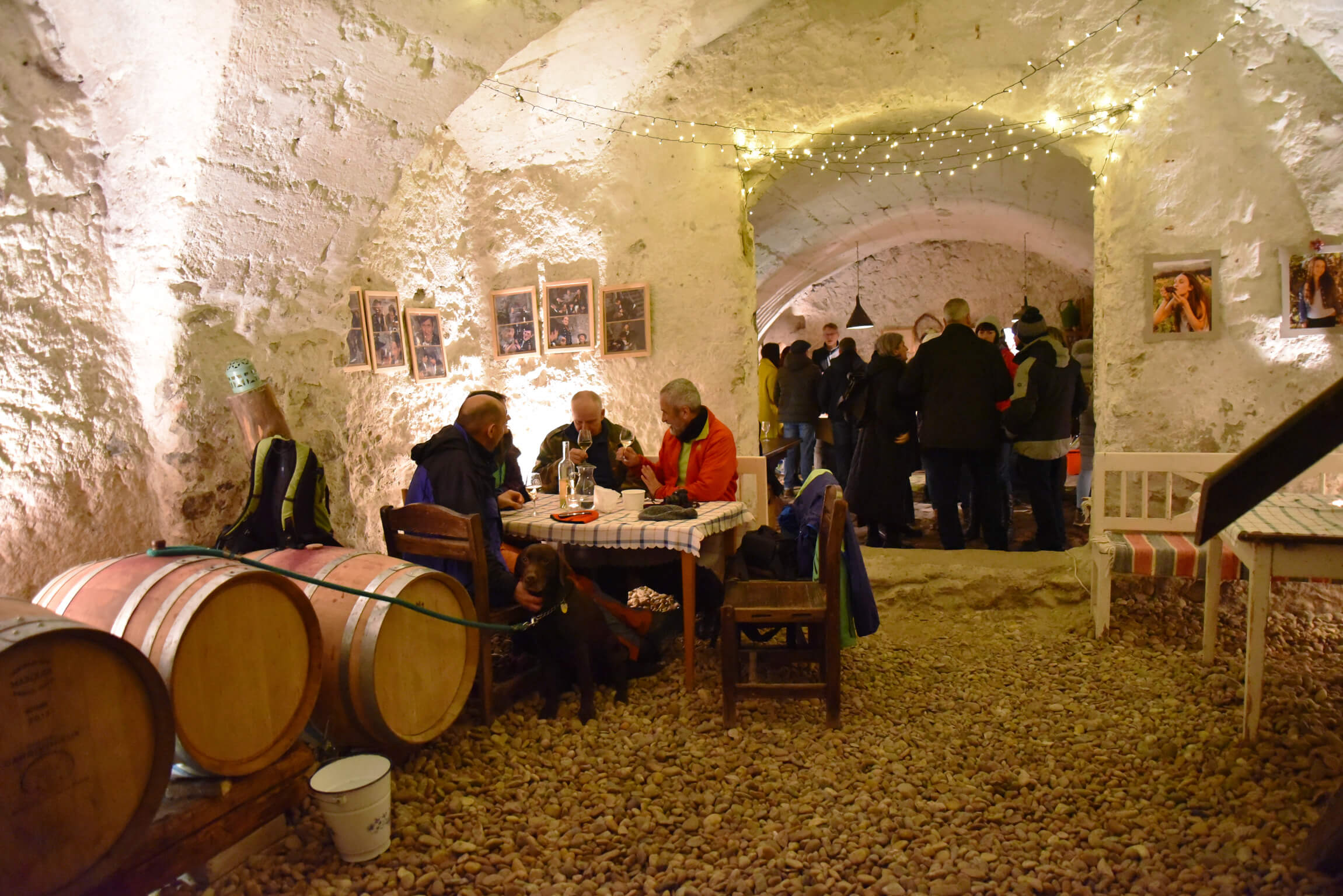 cellar_svaty_jur