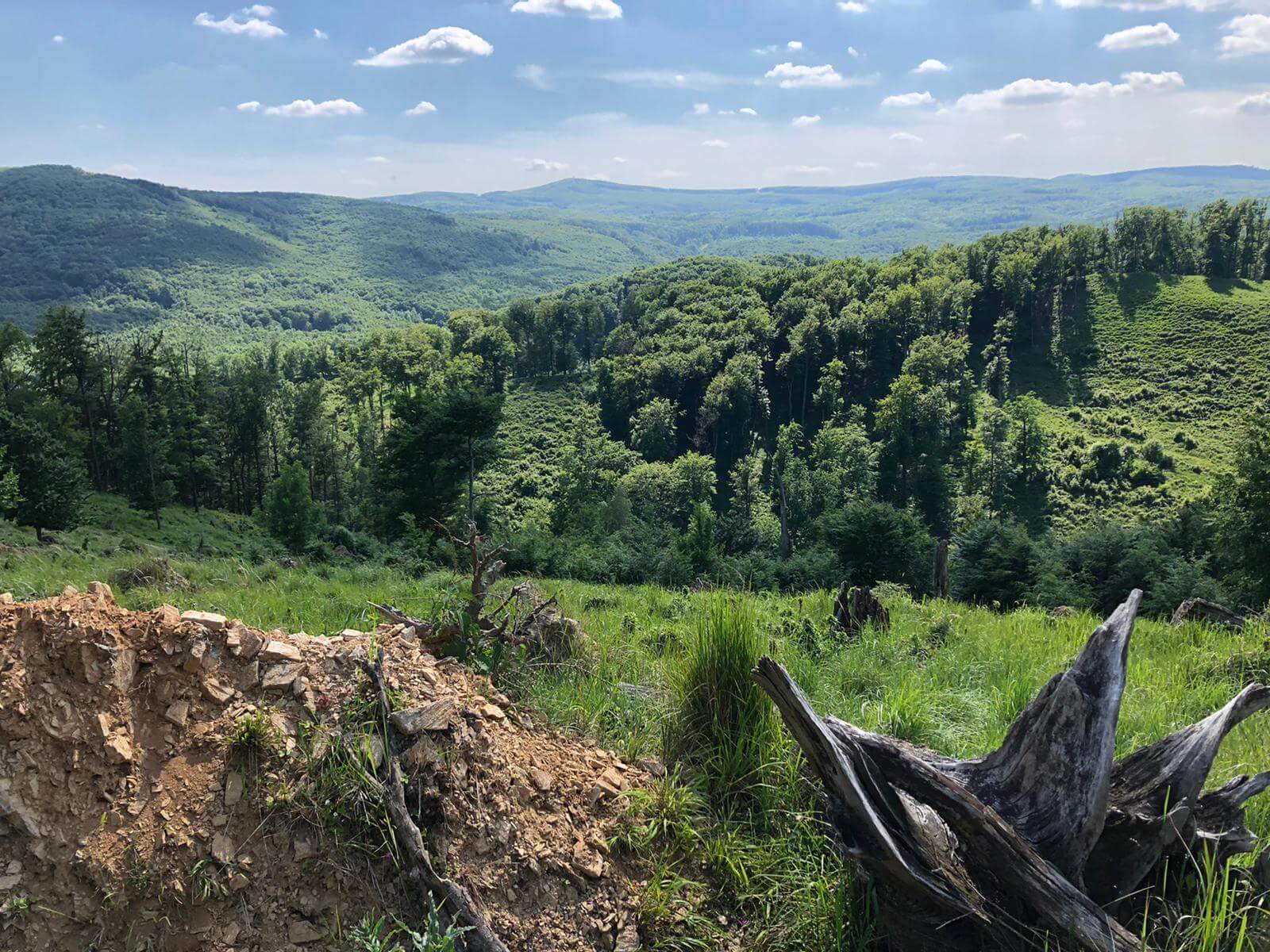 Small Carpathians, View from Pila